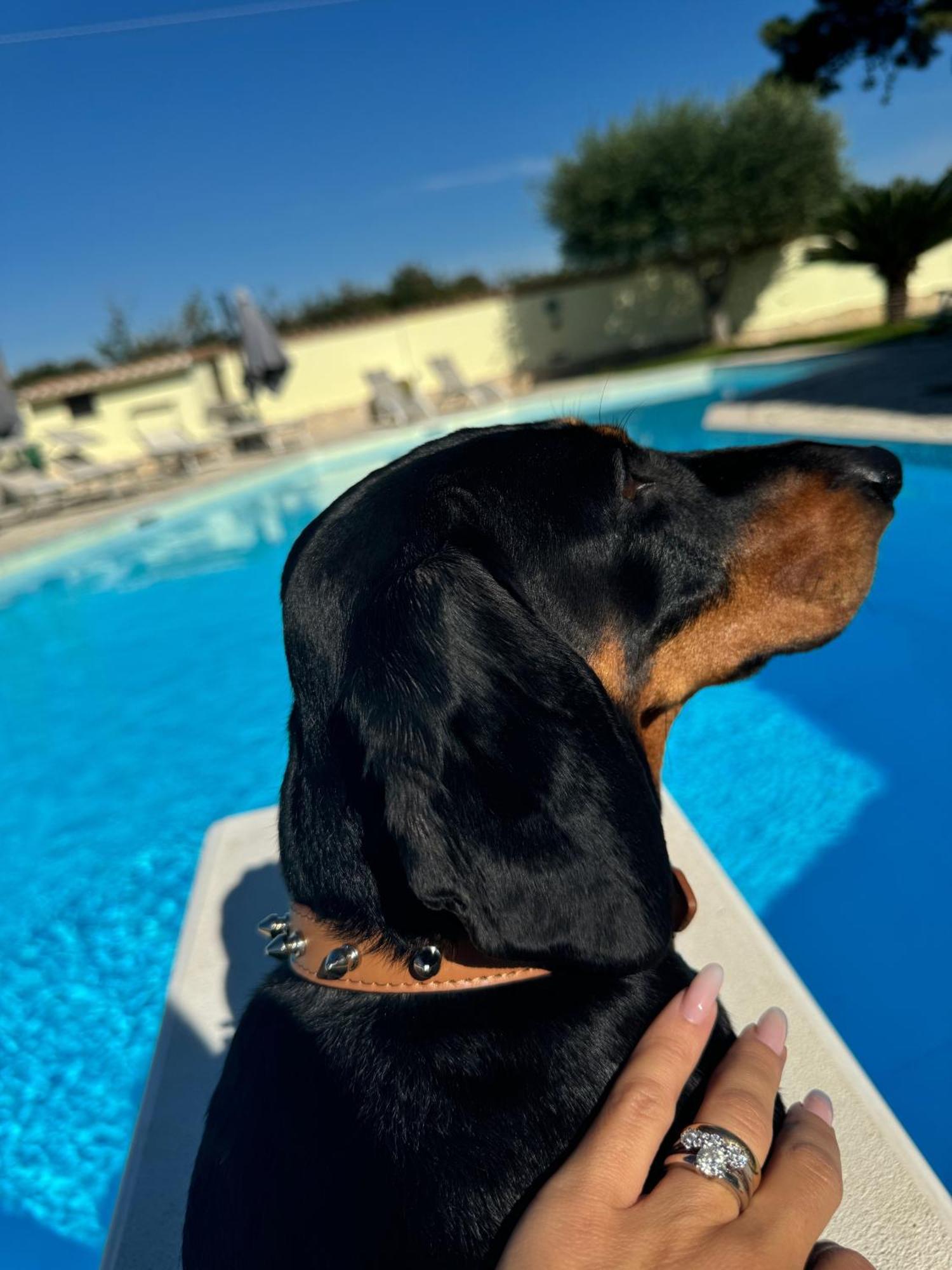 Luxury * Anzio